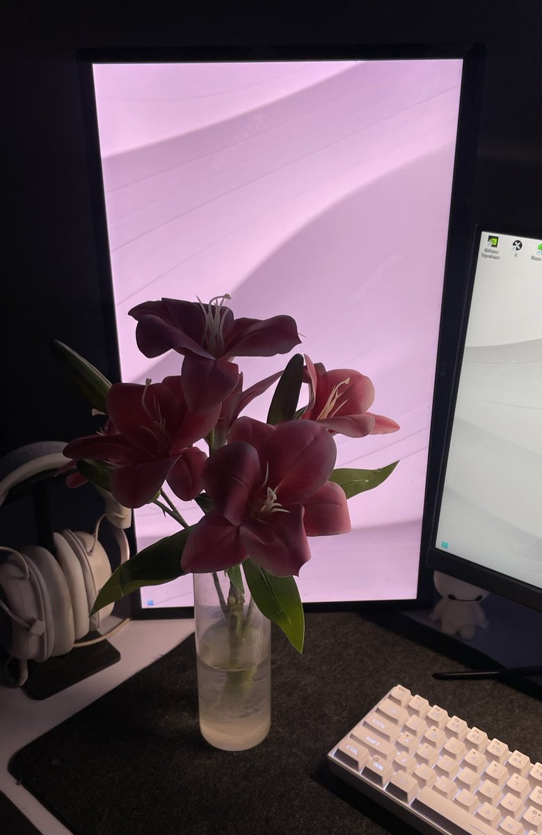 memo𐙚 (@shadowifey) on Twitter photo 