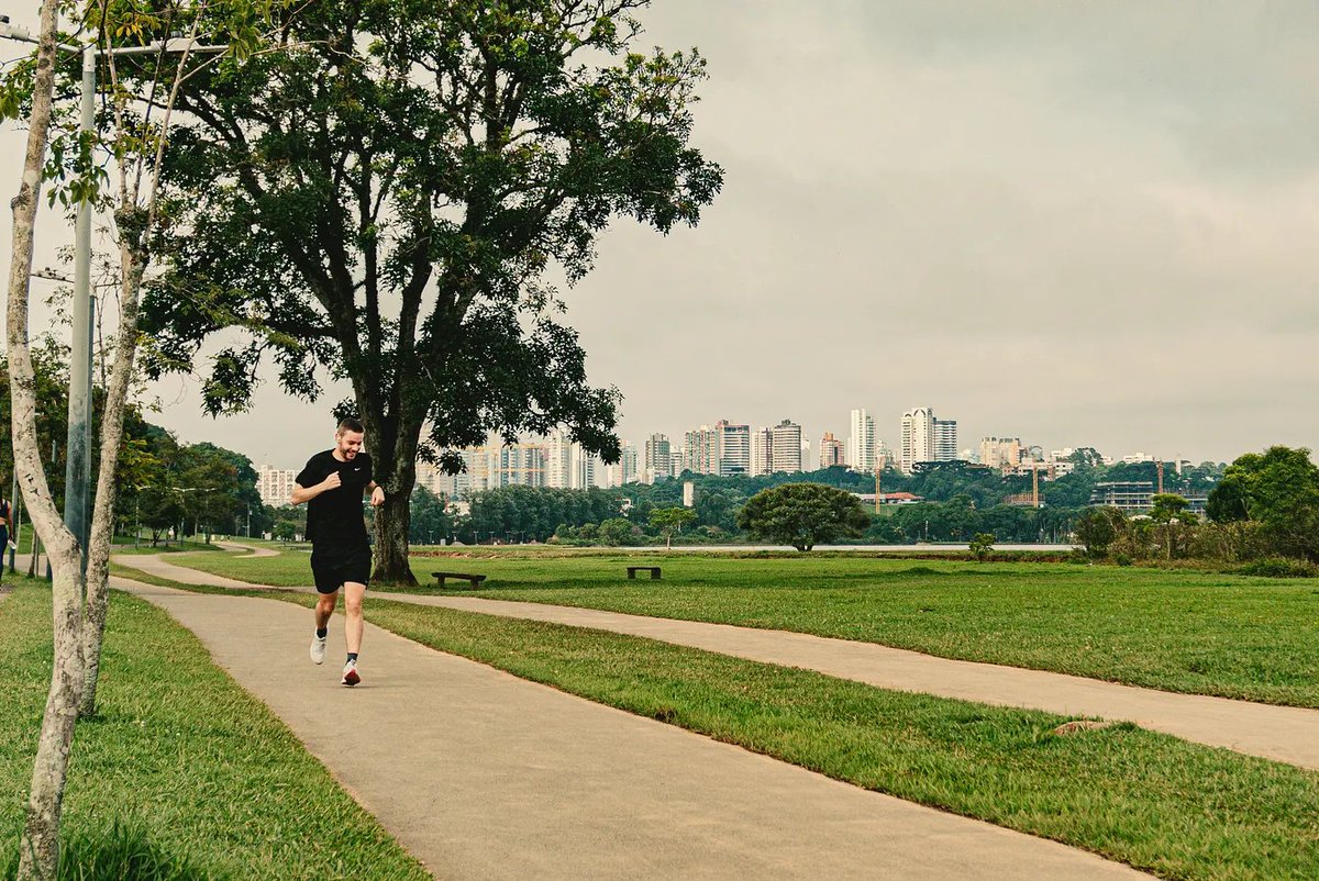 WNBASFChapter's tweet image. Planning for a Big Adventure? You Need a Walk-Out Workout | by Matt Traverso Ph.D. | Runner's Life | Oct, 2025 | Medium medium.com/runners-life/p… @LowerHaightbk