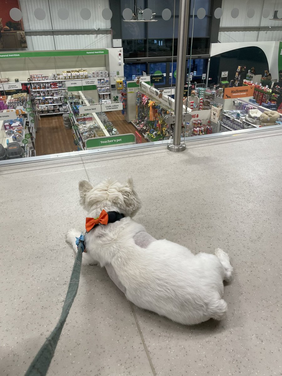 Charlie Hudson tweet media