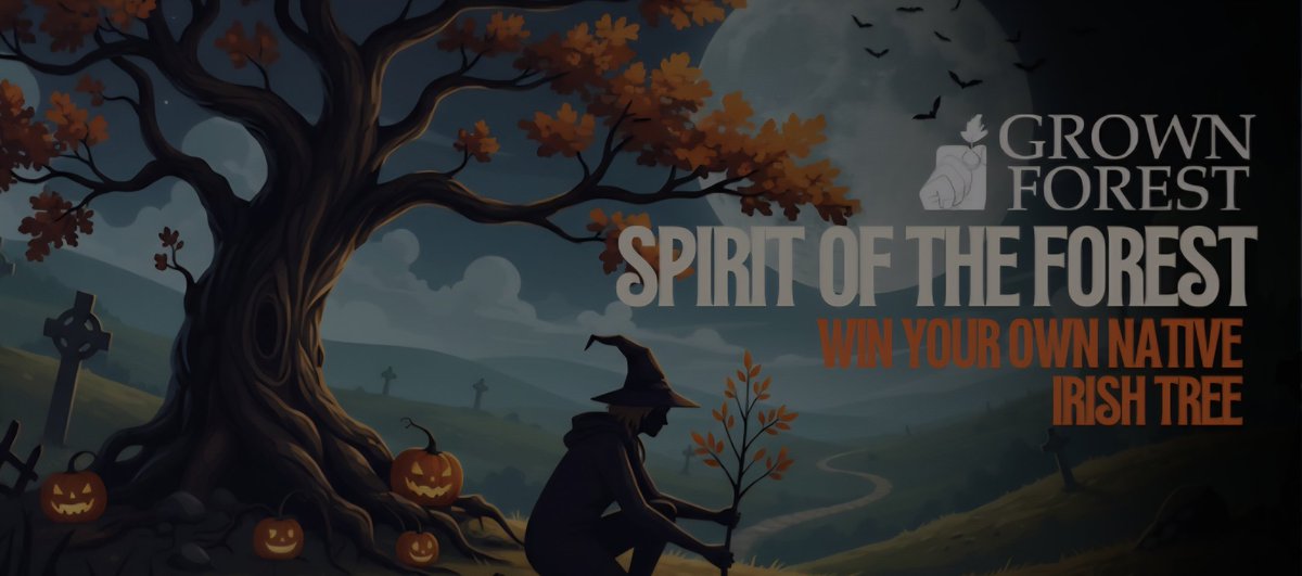 GIVEAWAY:
WIN YOUR OWN NATIVE IRISH TREE.

ENTER HERE:
kingsumo.com/g/3eee6p3/spir…