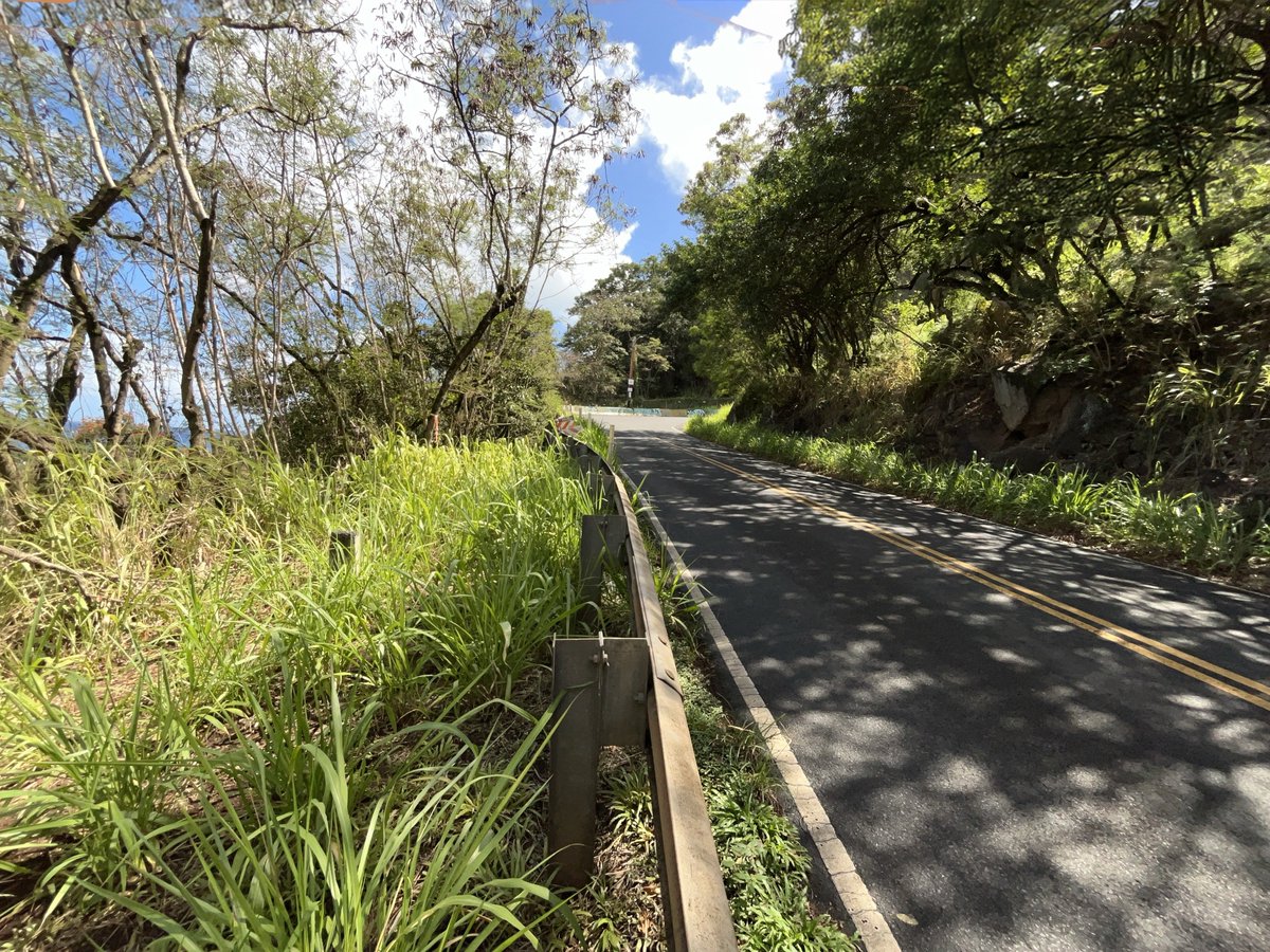 DDC - City and County of Honolulu tweet media