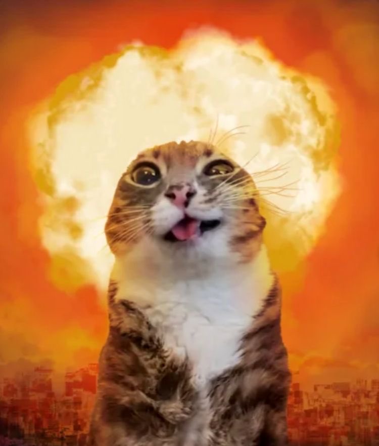 Communist Oof 🤍 tweet media