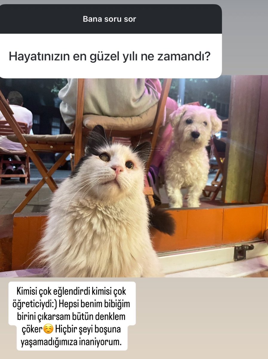 Mahaak900's tweet photo. Hazal started throwing hints because Bertan is about to marry Elif 
Told you I’m always right 💅✨
#Hazal #Bertanasllani #Elif #DramaTime #ICalledIt #TruthAlwaysWins https://t.co/510NaX36tq