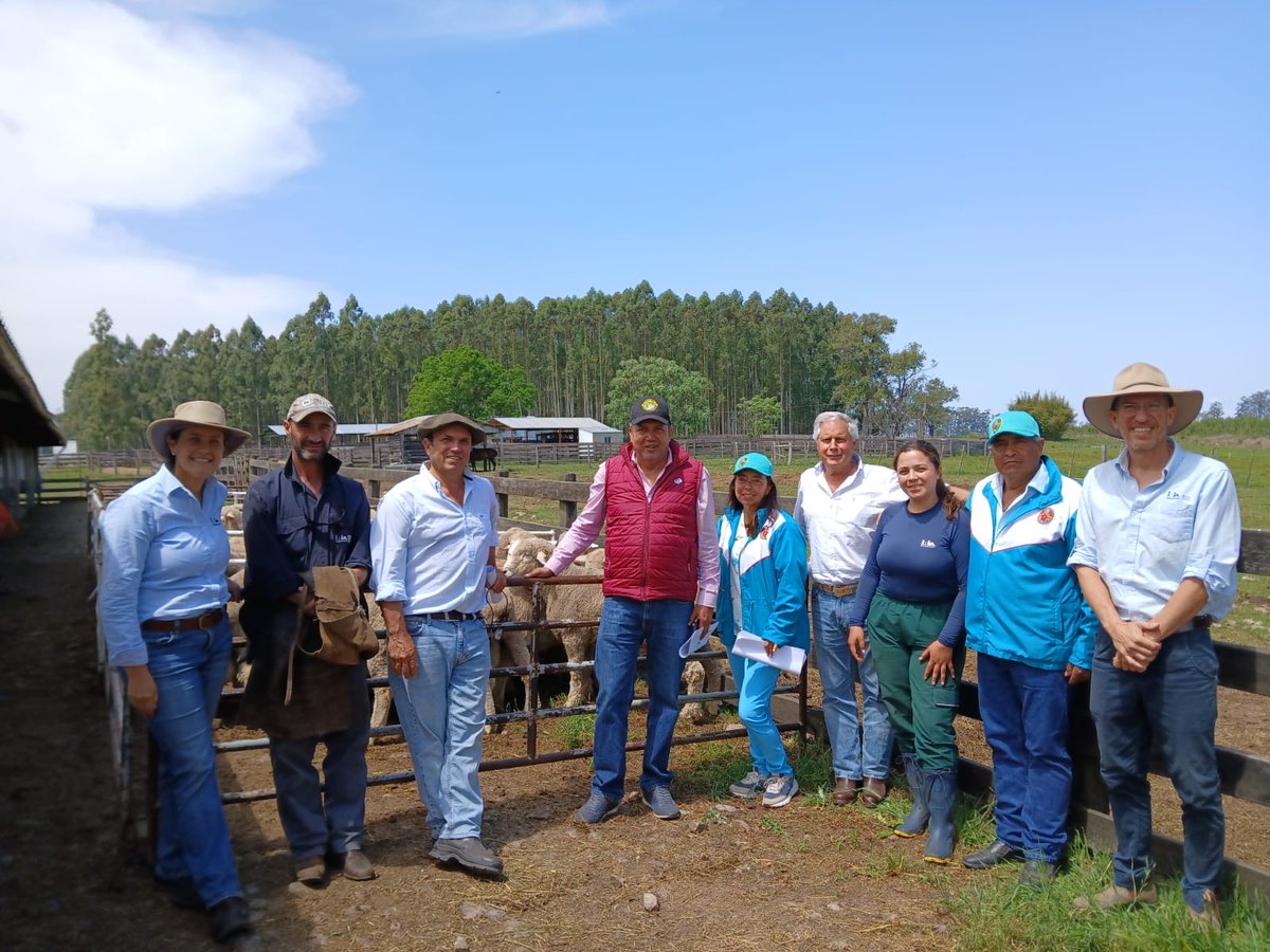 🔬 Los Ings. Agrs. De Barbieri, Ciappesoni y Porcile, junto a la Sociedad de Criadores de Corriedale, compartieron avances sobre eficiencia de conversión y emisiones de GEI 🌱🌍

🤝 El intercambio fortaleció lazos y abrió nuevas colaboraciones.
#INIA #Uruguay #Colombia