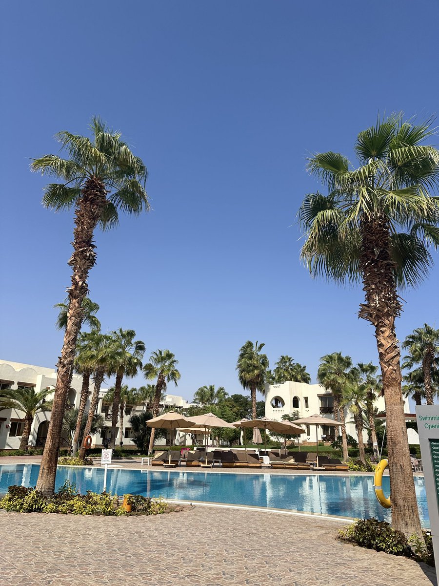 Manuu_0508's tweet photo. Hola Egipto 🇪🇬🐫🌵☀️🌊 https://t.co/MZAsxAXE45