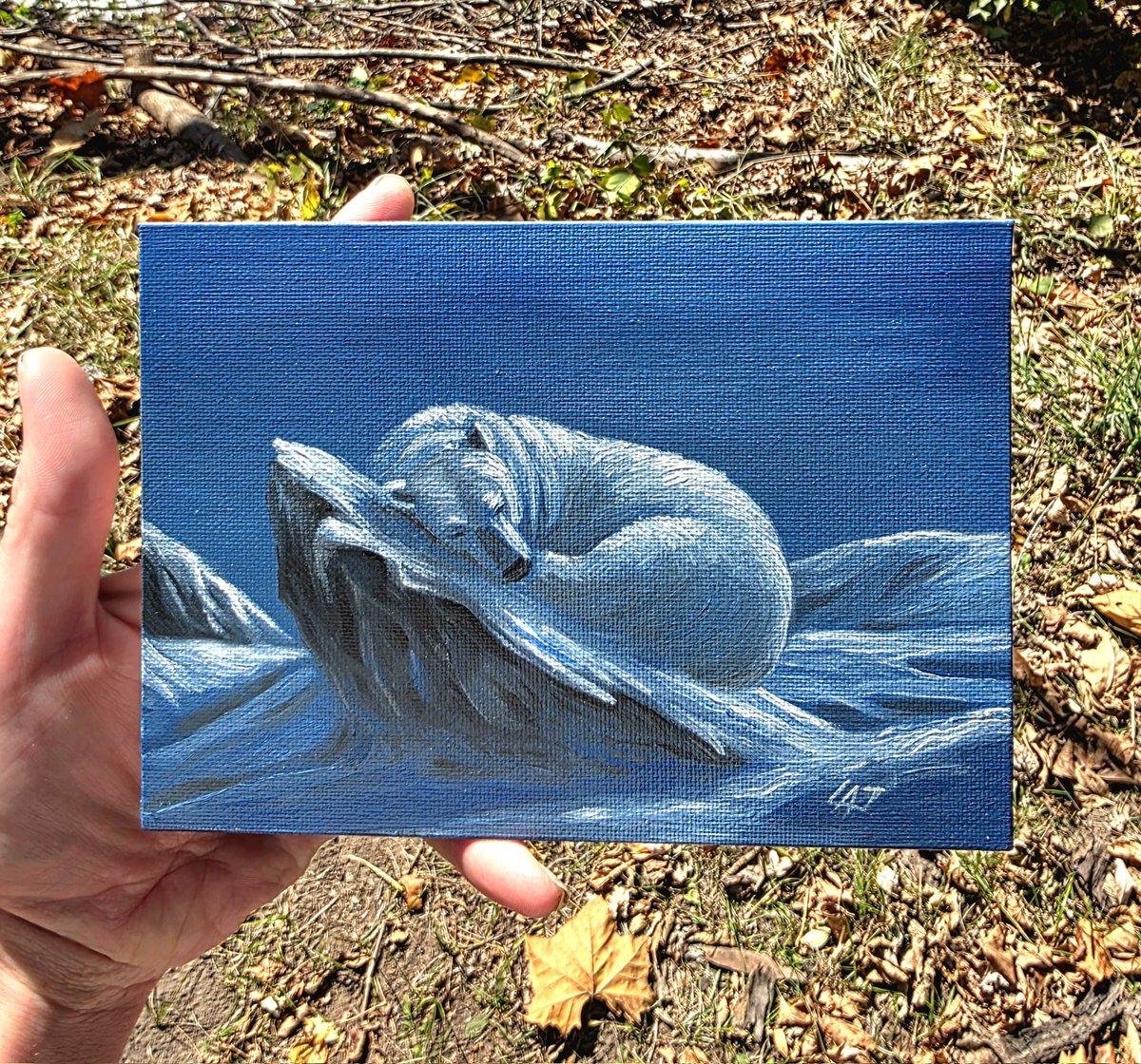 Check out what I just got in the mail today!

A MoonDoggy original!! 🤯

Thank you, <a href="/Jurkowsk1Moon/">MoonDoggy</a>
This painting will be cherished forever!