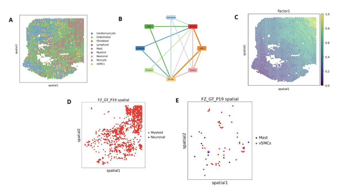 BoWang87's tweet image. Cells don’t just exist — they talk, signal, and collaborate.
Our work GraphComm is now out in @SciReports ! With GraphComm, we’re teaching AI to listen in on this cellular conversation — a step closer to building the virtual cell. 🧬🤖
🧬 GraphComm is a graph-based deep…
