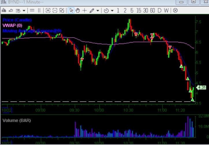 Trader Catarsis tweet media