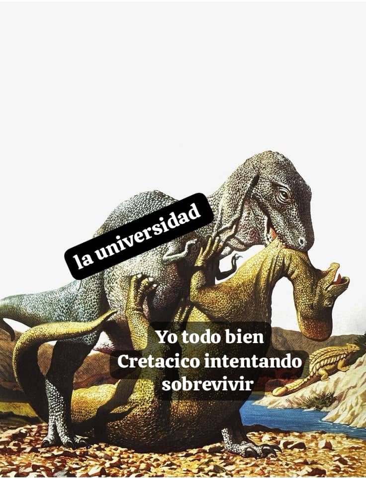 Pinguterra's tweet image. Modo