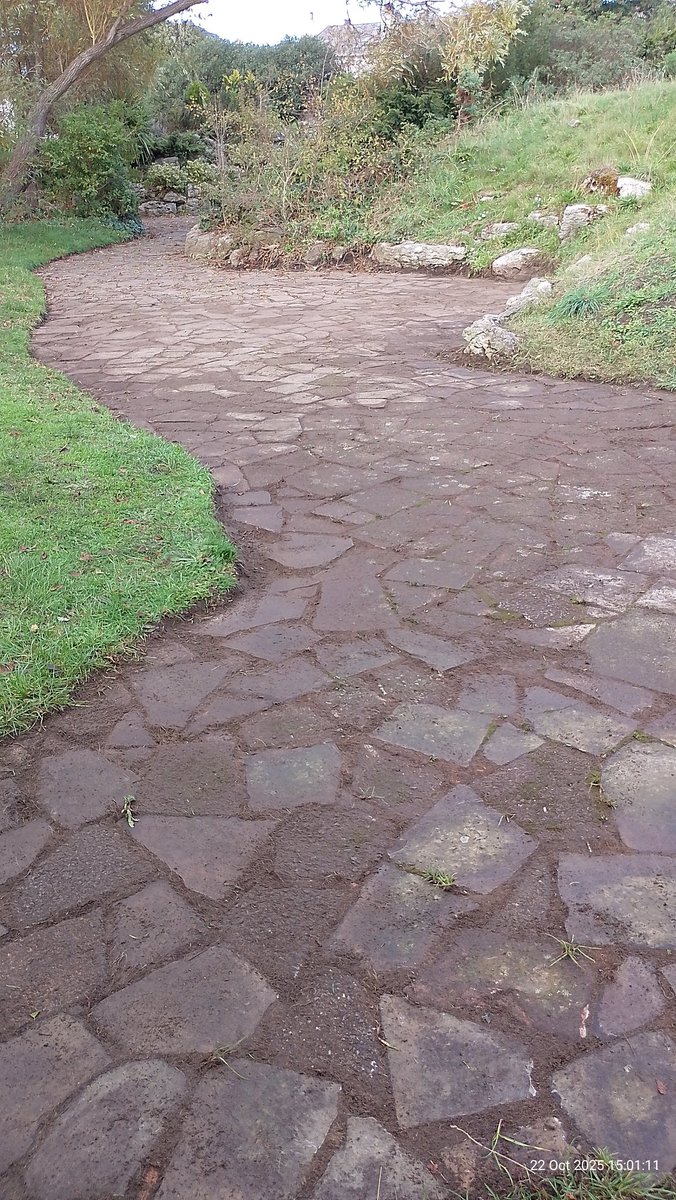 The weather turned lovely for our volunteer session this afternoon and we had a great turnout. Thanks to everyone who came along and a special thanks to the team from Graitec UK who gave us a volunteer afternoon and worked wonders on clearing the end of that crazy paved path!