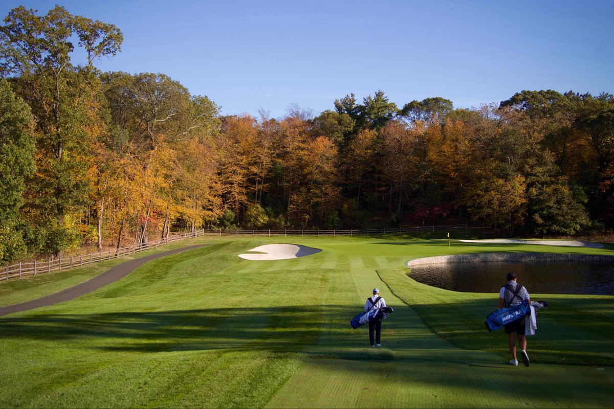 Hofstra Men's Golf tweet media