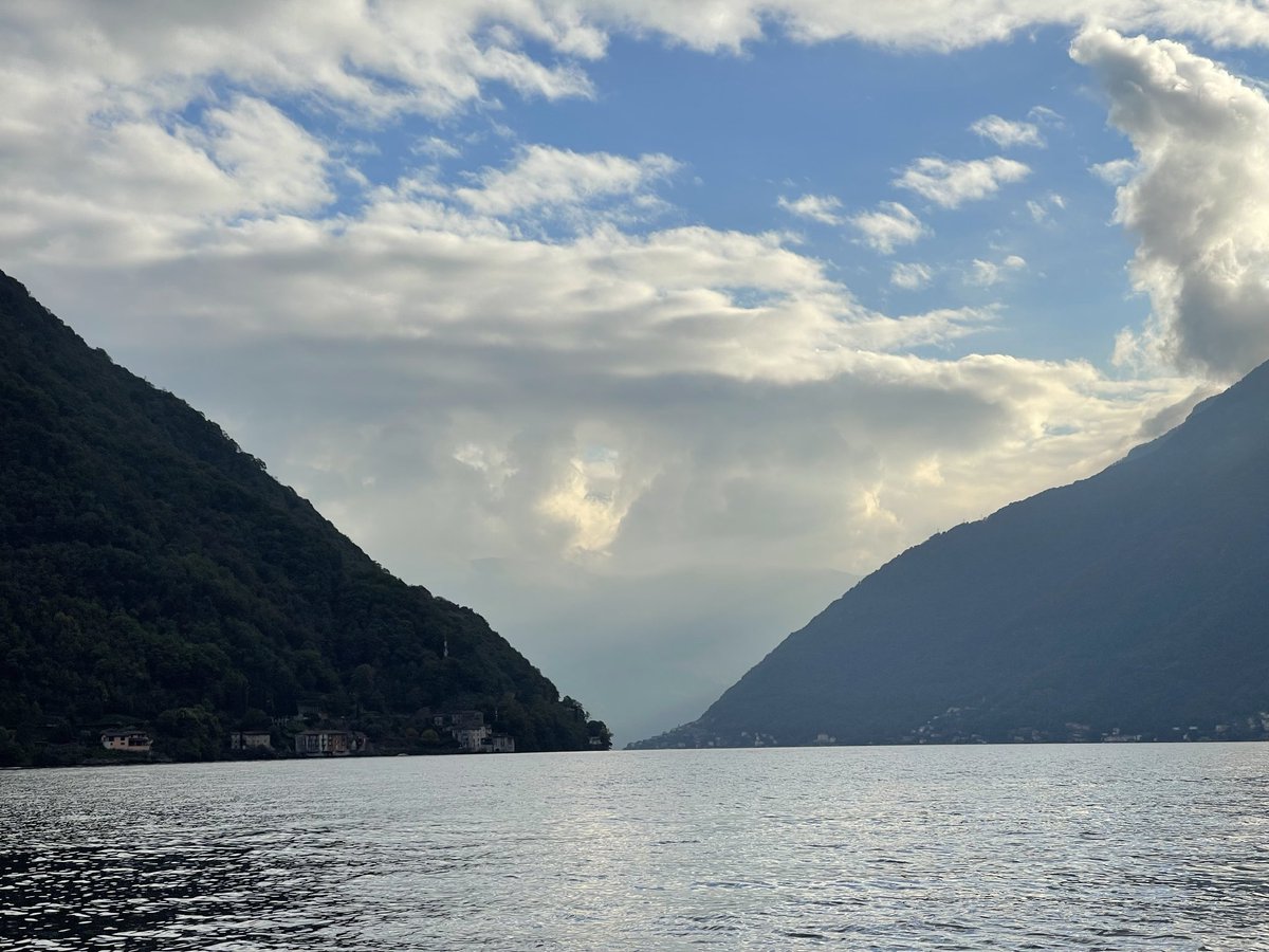 David Martin tweet media