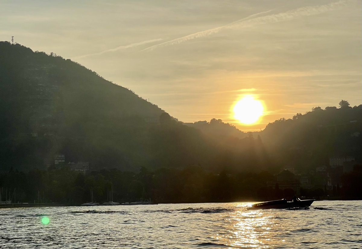 David Martin tweet media