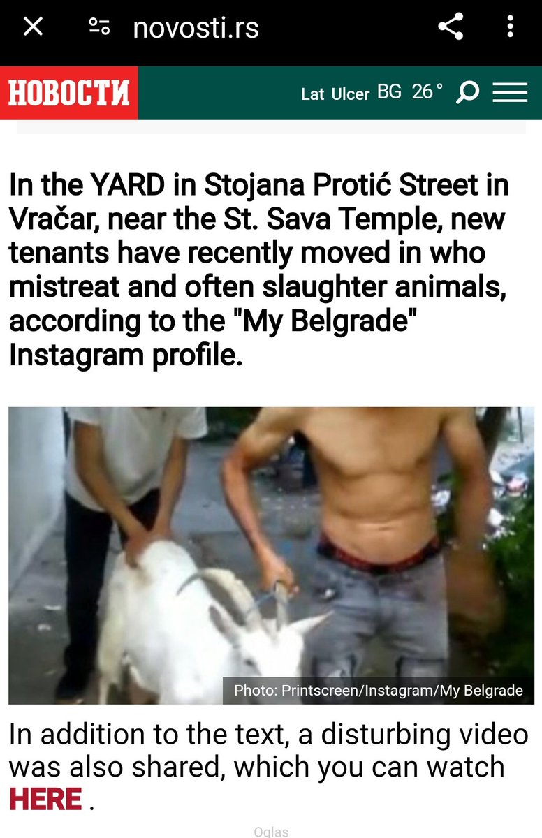 ErnestoFerrari9's tweet photo. @bakirevizited 🔴ANIMALS TORTURED AND SLAUGHTERED IN THE CENTER OF BELGRADE🇷🇸: A new video is circulating on the Internet - residents of Vračar are appalled.😅🤣 #Serbia #Rumania #Belgrade #Beograde #Srbija #Slavs #GOAT #beograd #balkan #novisad https://t.co/9wXBRMTF7G https://t.co/cy0YdXOuvu