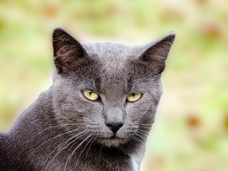 Versuche mal, 
ein paar Minuten lang nichts besonderes zu tun – 
nicht zu lesen, nicht auf einen Bildschirm zu schauen, nicht mit jemandem zu sprechen - 
nur mit Dir zu sein. 
Vielleicht wirst du es nie wieder tun. 
Aber vielleicht machst du eine ganz wesentliche Erfahrung.