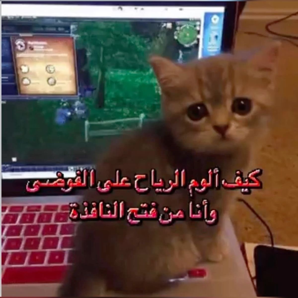 ححسن (@ye2g_) on Twitter photo 