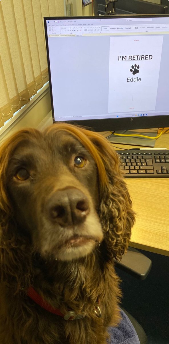 PSOSDogs's tweet image. Time to hang up the harness for wee #PDEddie, as he now becomes #RPDEddie.  Almost 10 years of #KeepingPeopleSafe across the country, he’s now retiring to live at home with his handler.  Enjoy the long lies….Thanks pup! 👏🏻 

#RetiredPSOSDogs
#SprockerSpaniel