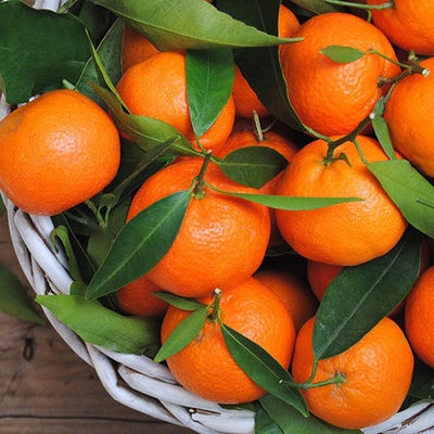 attyfatihk's tweet image. eskiden mandalinalar bu renkti artık hepsi soluk sarımsı bir renk veya yeşil noldu bunlara