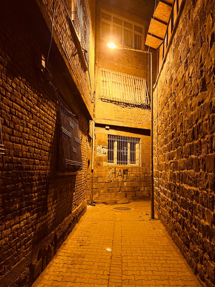 Botaniiko's tweet image. Kolanen Amedê