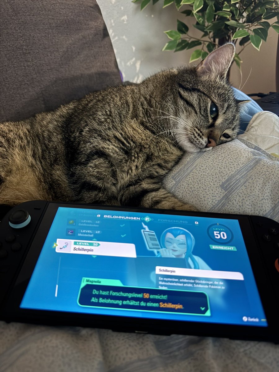 Nachdem Icy sich um den Living Dex gekümmert hat, hat Arya endlich die 1000 Trainerkämpfe erledigt und ist sichtlich am Ende.. versteht sich aber ja von selbst. Der Schillerpin ist damit unser! #PokemonLegendZA