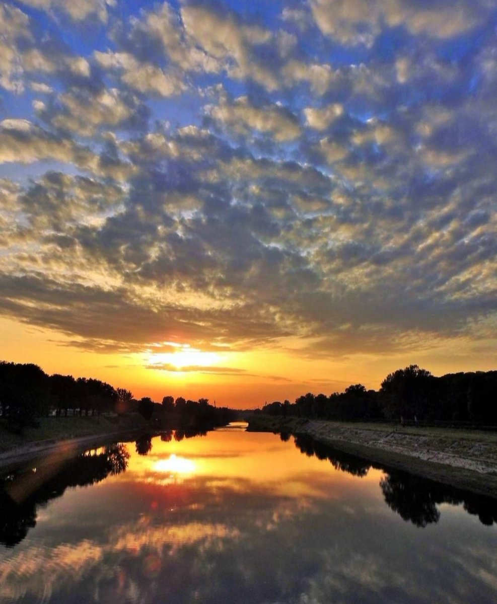 Il valore della vita sta nel capire che la tua famiglia non ha prezzo,
 sono loro che #mifannoSentire "speciale"

#buonanotteAdomani 😘🌕🌟