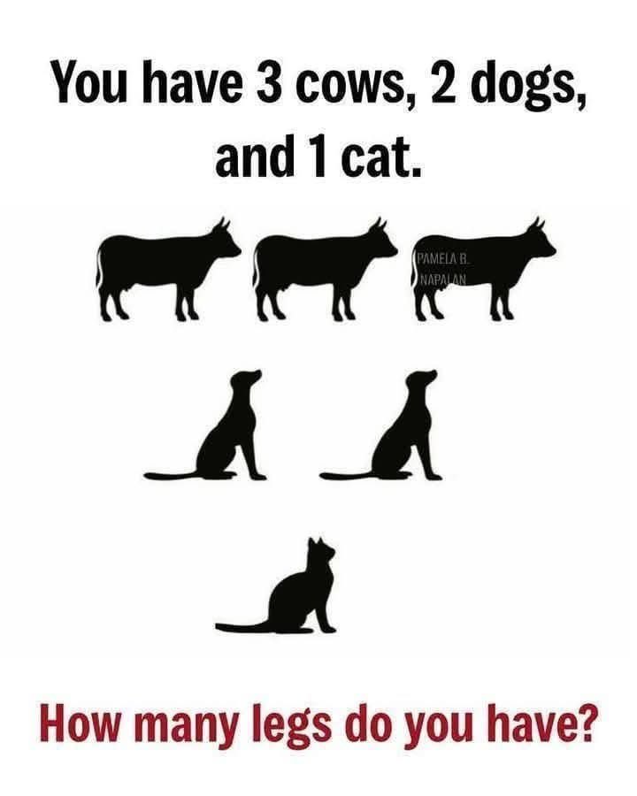 Learn Something tweet media