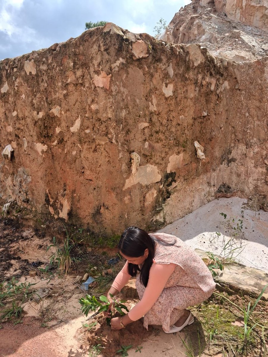 Plantation drive at PEG Shillong under FCI DO SHILLONG as part of Special campaign