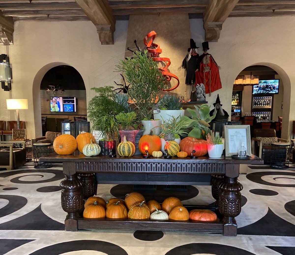 takingthekids's tweet image. Our annual Fall guide is here! We have compiled a list with our friends @familytravelforum to give you the best events, festivals and bucket-list places to visit this fall. Follow the link below (or in our bio) to check it out!

takingthekids.com/our-annual-gui…

#Falltrips #falltravelling