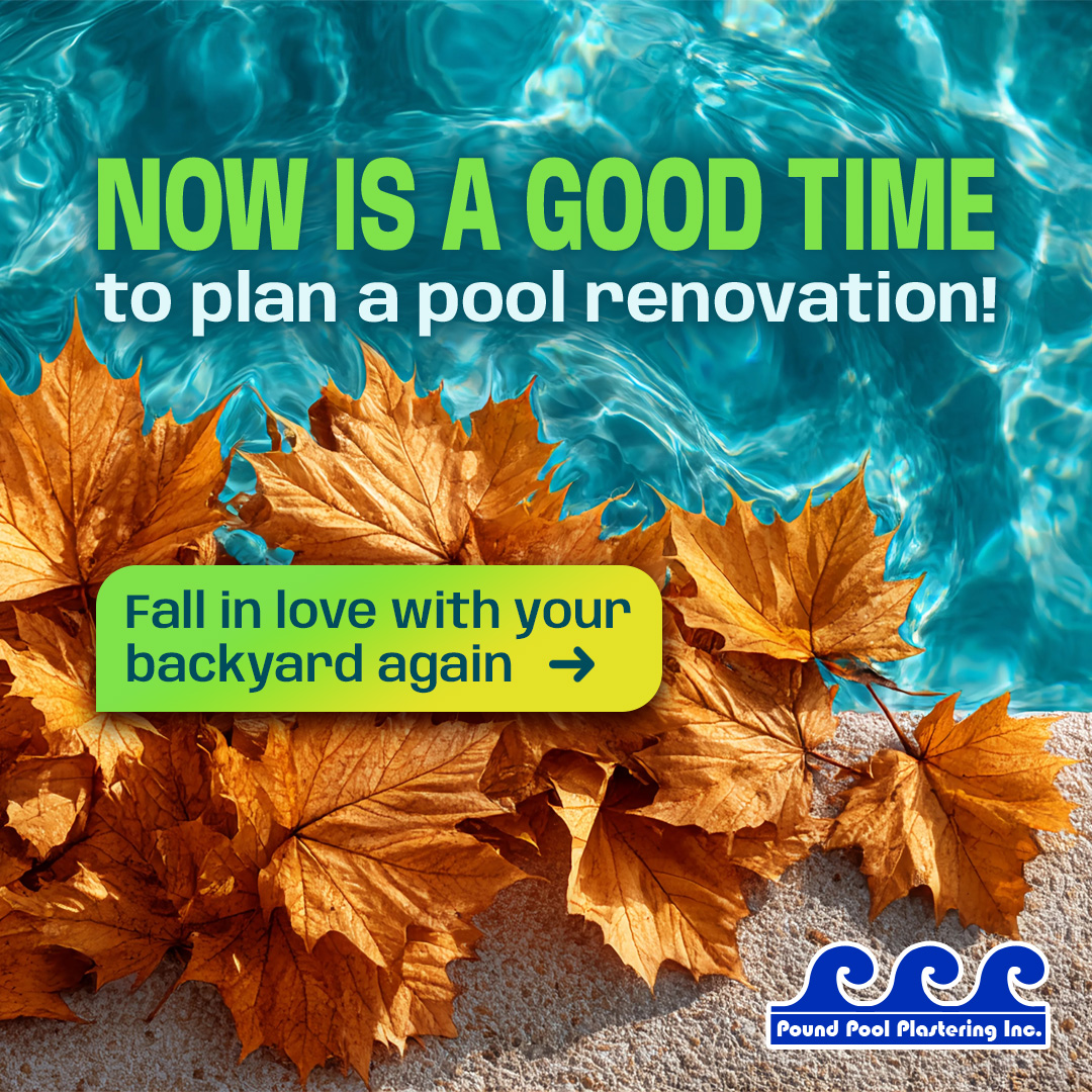 PoundPool's tweet image. End-of-year is the perfect time to plan your pool renovation! Choose from premium finishes, beautiful tile, and quality coping. Free estimates and hands-on oversight from the owner! 🍂

🖥️ Learn more: pound-pool-plastering.com
#PoolRestoration #PoolRepair  #PoundPoolPlastering