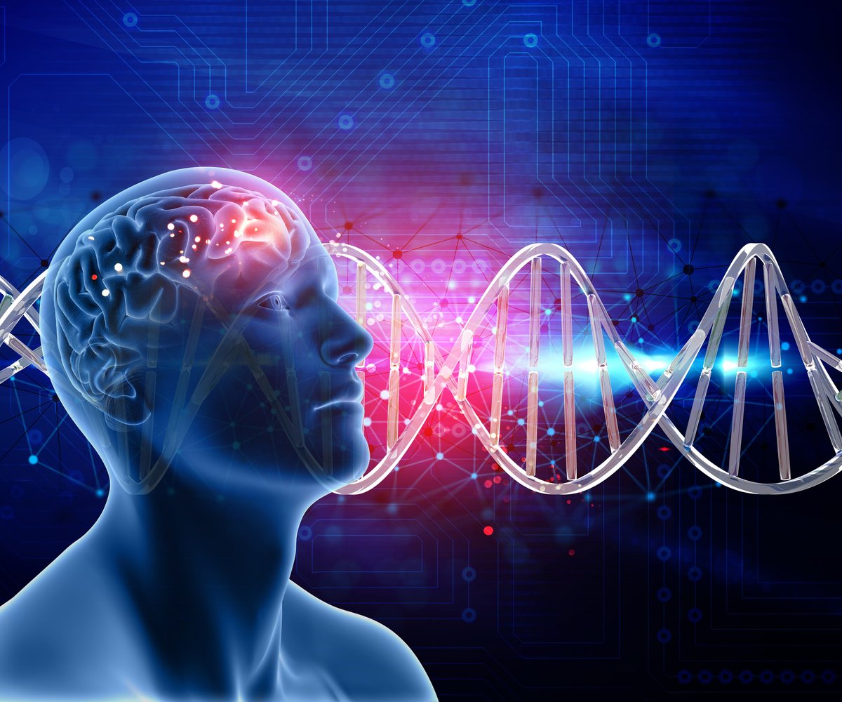 RiceUNews's tweet photo. Rice University scientists built an algorithm that pinpoints the specific #brain cells genetically linked to #Alzheimers. Keep progress moving—join @alzassociation & #VoteYesOnAlz14 to bring hope to Texans impacted by dementia.
https://t.co/SGruRsOSeu
@RiceUniversity #DPRIT https://t.co/amaspQJomQ