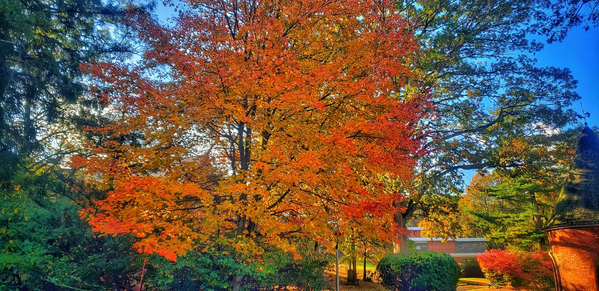 Colors are POPPING on Long Island now! 
<a href="/DiscoverLINY/">Discover Long Island</a> <a href="/longislandpatch/">Long Island Patch</a> <a href="/News12Weather/">News 12 Weather</a> <a href="/GarofaloWX/">Meredith Garofalo</a> <a href="/LorinOnTV/">Lorin Richardson</a> <a href="/SamanthaAugeri/">Samantha Augeri</a> <a href="/AddisonGreenWX/">Addison Green</a> <a href="/StormHour/">#StormHour</a> <a href="/ThePhotoHour/">#ThePhotoHour</a> <a href="/longisland/">Long Island</a> <a href="/hoffmanrich/">RichHoffmanWeather</a> #N12stormwatchers <a href="/WeatherGeoff/">Geoff Bansen, CBM</a>