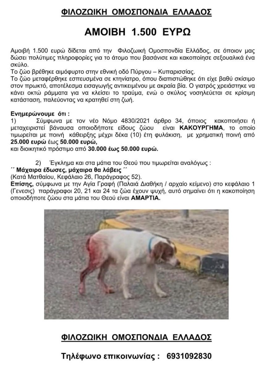 ΠΡΟΣΟΧΗ 👇👇👇🆘🆘🆘
Νέος #ολιβερ.. Κοινοποιήστε για να βρεθεί ο μπάσταρδος 🤬🤬
#ζωα_σε_κινδυνο #ζωα_βοηθεια #ζωα_σε_βοηθεια