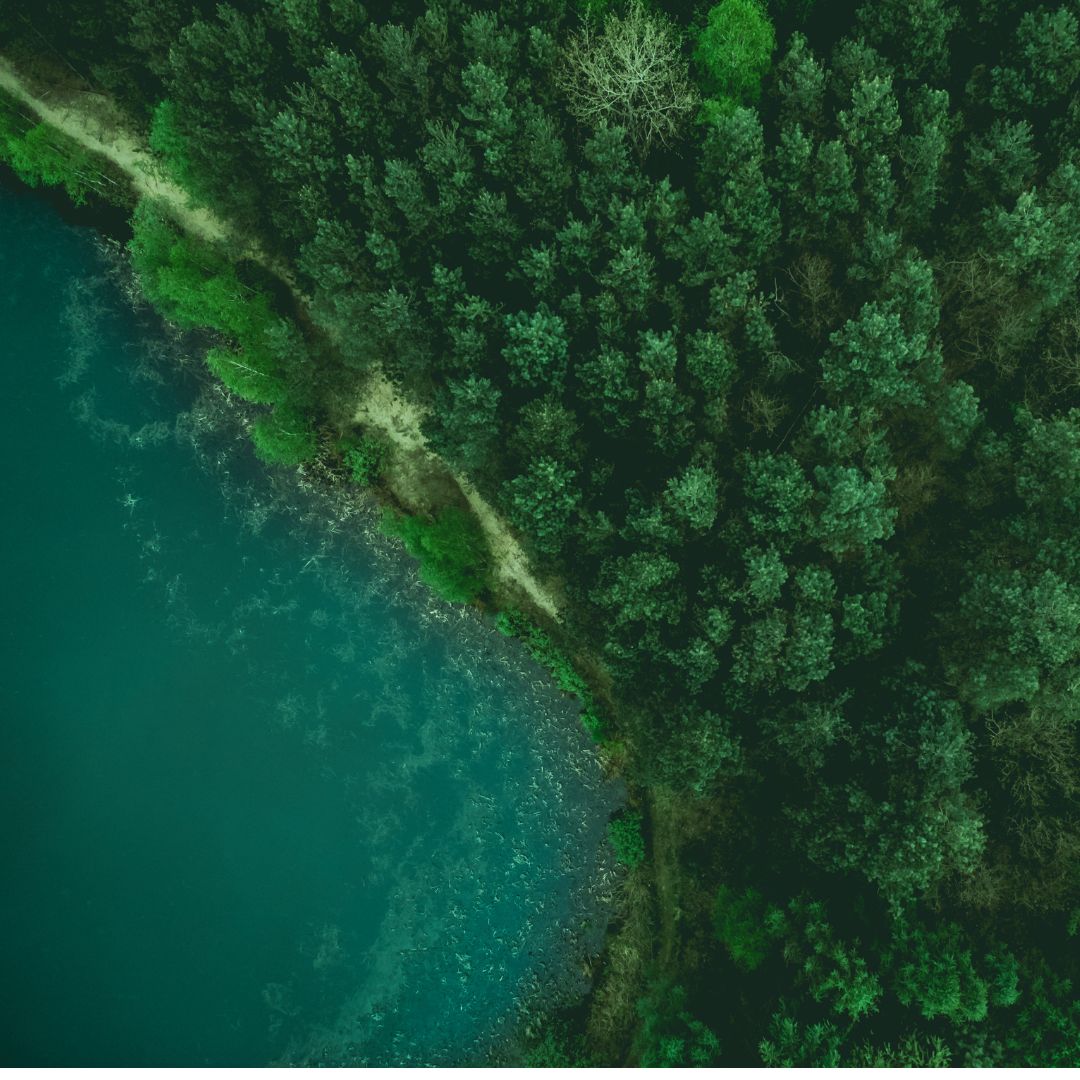 howtoacademy's tweet image. We can’t afford to delay climate action, but with all the shouting, it’s hard to know where to turn. @_HannahRitchie joins @hannahmacin with answers to the big questions, so we can get on and fix things.

Tue, 4 Nov | 6:15pm | London &amp;amp; Online
Tickets: howtoacademy.com/events/how-to-…