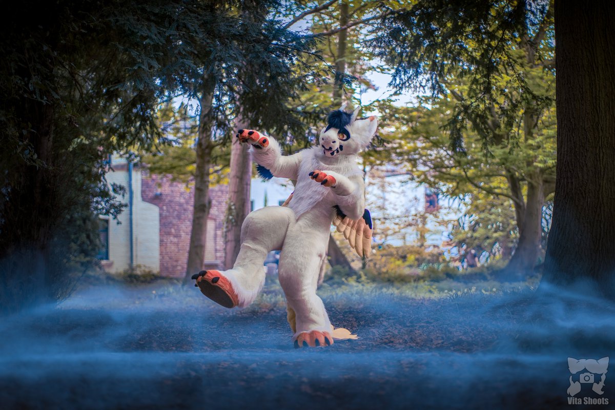 BirdNamedVal's tweet image. Careful this spooky season, dragons may be lurking around!

📸@VitaCordes