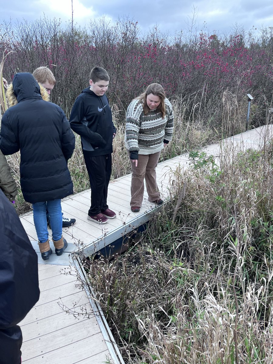 rb_transition's tweet image. Had an amazing time exploring Volo Bog @IllinoisDNR with Ms. Abby as our guide! 🌿💚 Did you know it's a National Natural Landmark? We learned so much and our scavenger hunt at the Visitor Center was awesome! #VoloBog #communitybasedlearning #rbchs