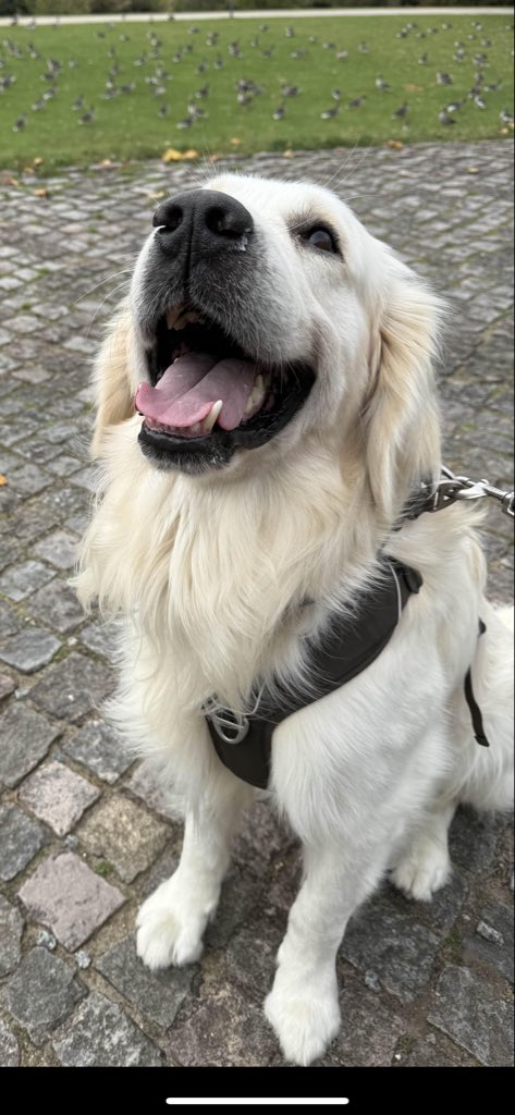 Zrool 尔 tweet media