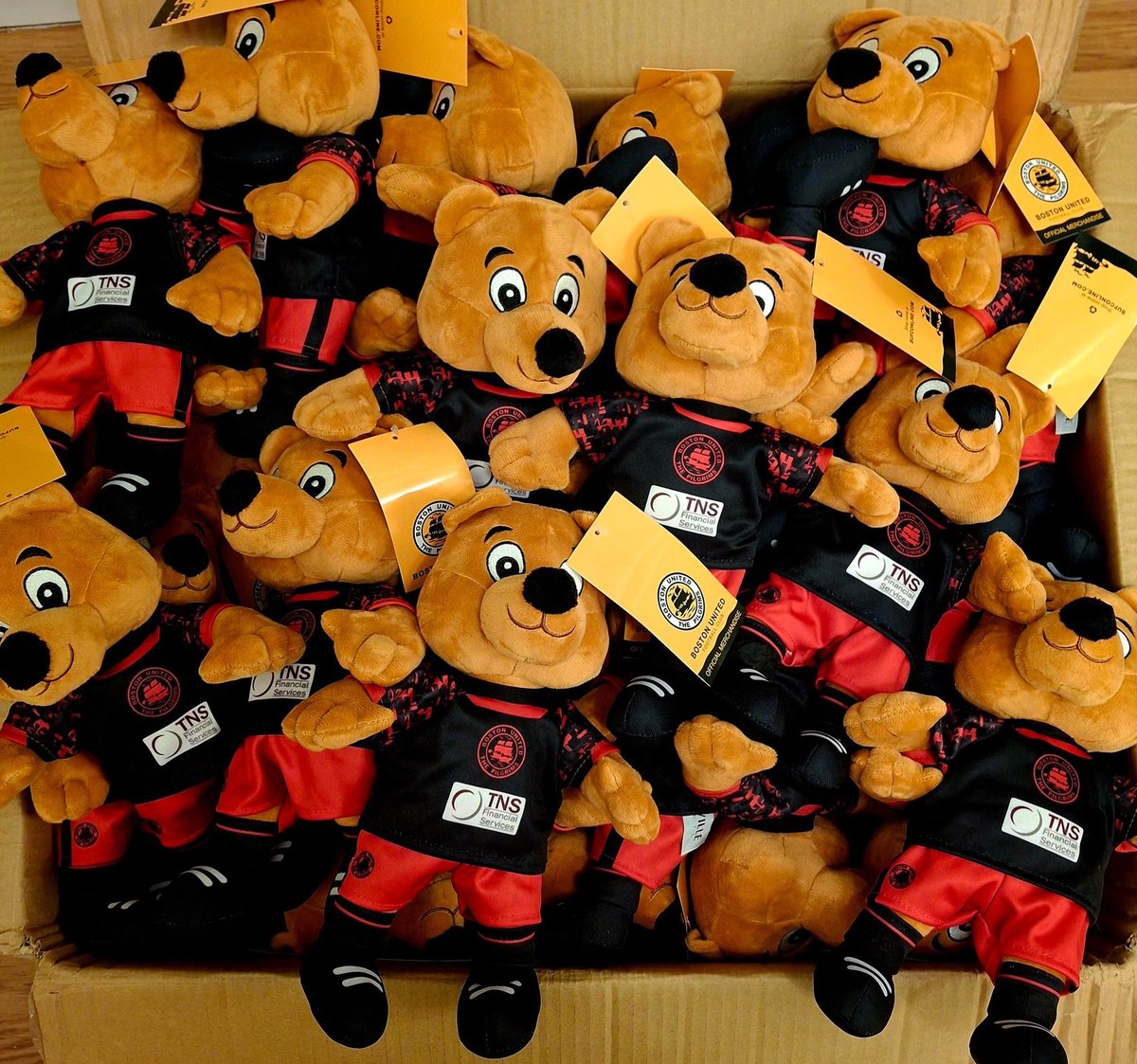 🐻 Our new signing has arrived! 🐻

Your 3rd kit Mini BUSA Bears have landed meaning they are now available to purchase! 🥳

We will be selling these at the upcoming BUSA bingo night this Friday evening and they will be making their first away appearance on the supporters coach