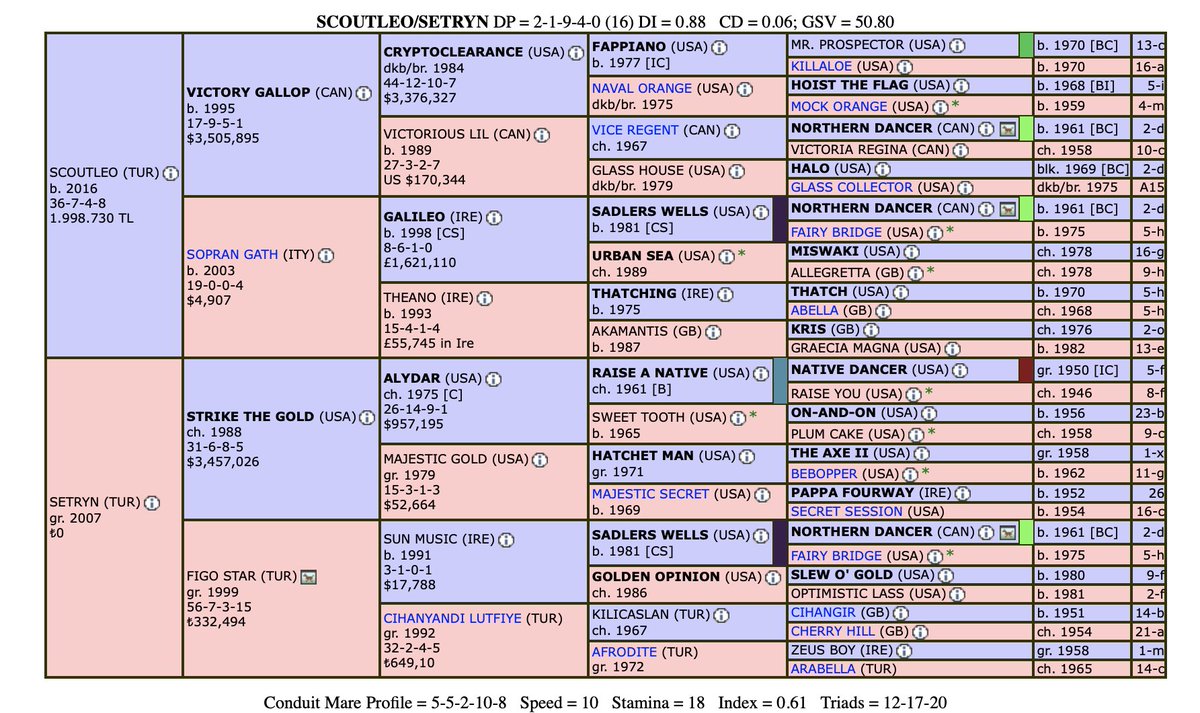Setryn ve Scoutleo Buluşması
2025 aşım sezonunda Güzelocak Harası kısrağı SETRYN yine Güzelocak Harası aygırı SCOUTLEO ile buluştu. Ülkenin nadide bir kısrağının gelecek vaadeden genç bir aygıra güven duyularak çekilmesi önemli.

Değerlendirmeye Setryn ile başlayacağım. Şimdi