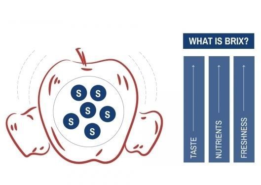 What does °Brix actually tell you? 🍓

It’s the % of sugar + soluble solids in produce, a quick read on sweetness &amp; ripeness

Growers use it to time harvests. Processors use it for jams, juice &amp; wine. Retailers use it for quality

Fast, cheap, reliable. #Brix #AgTech #FoodScience