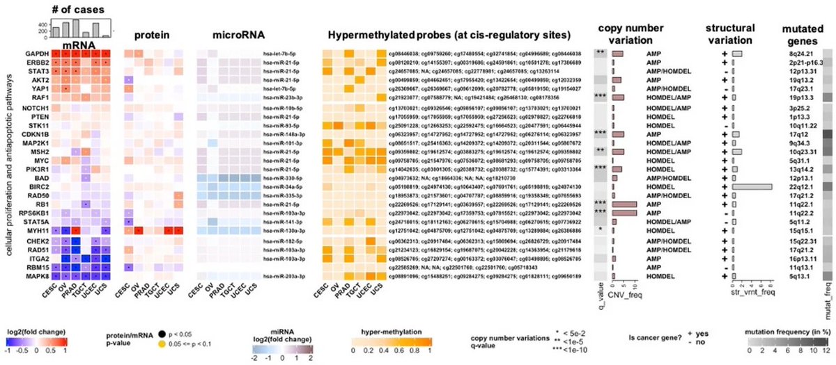 razoralign's tweet image. MultiModalGraphics: an R package for graphical integration of multi-omics datasets bmcbioinformatics.biomedcentral.com/articles/10.11…