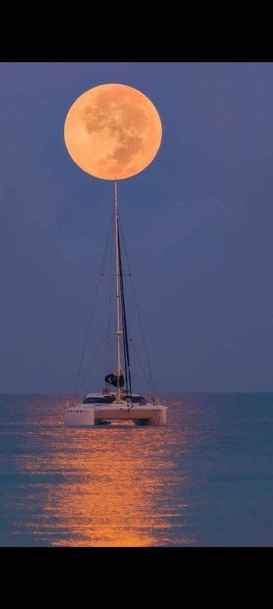 سعد الفراج (@s_alfarraj_2021) on Twitter photo 