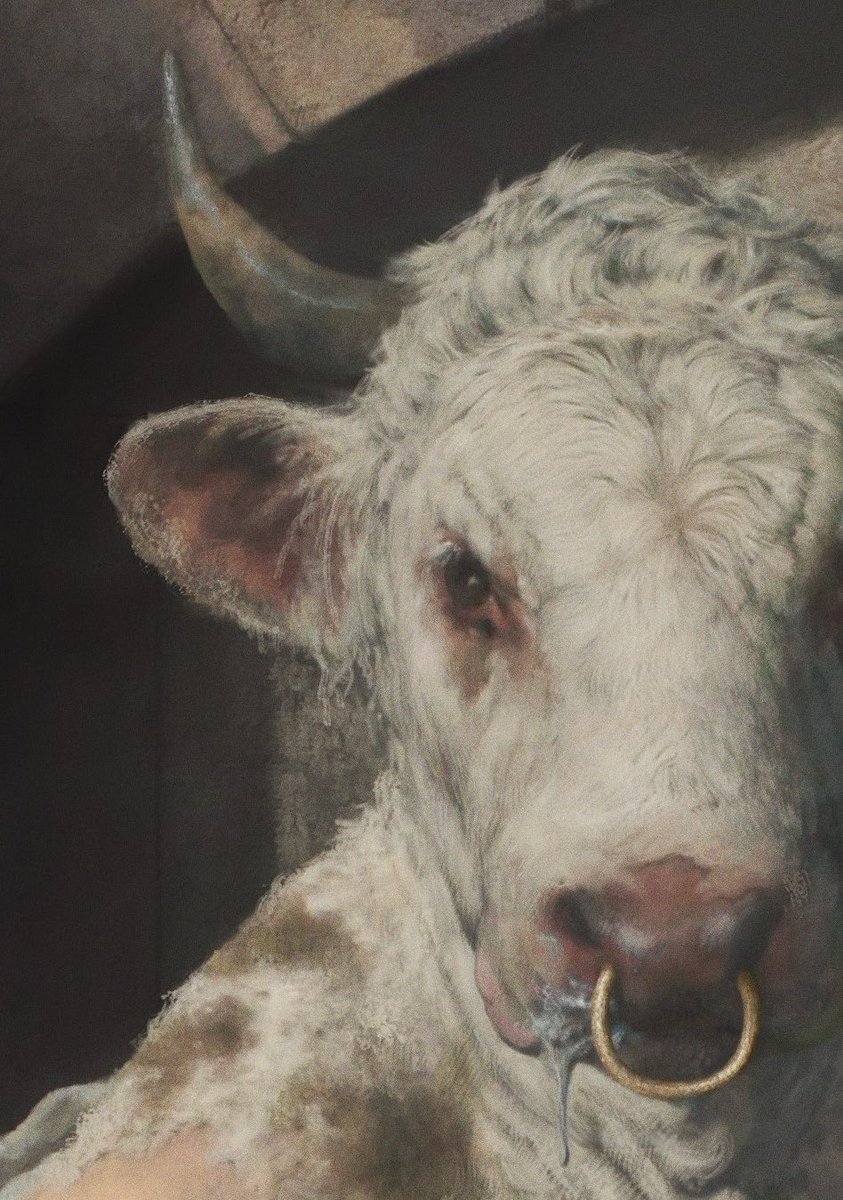 Minotaur_Man's tweet image. This is who runs this account