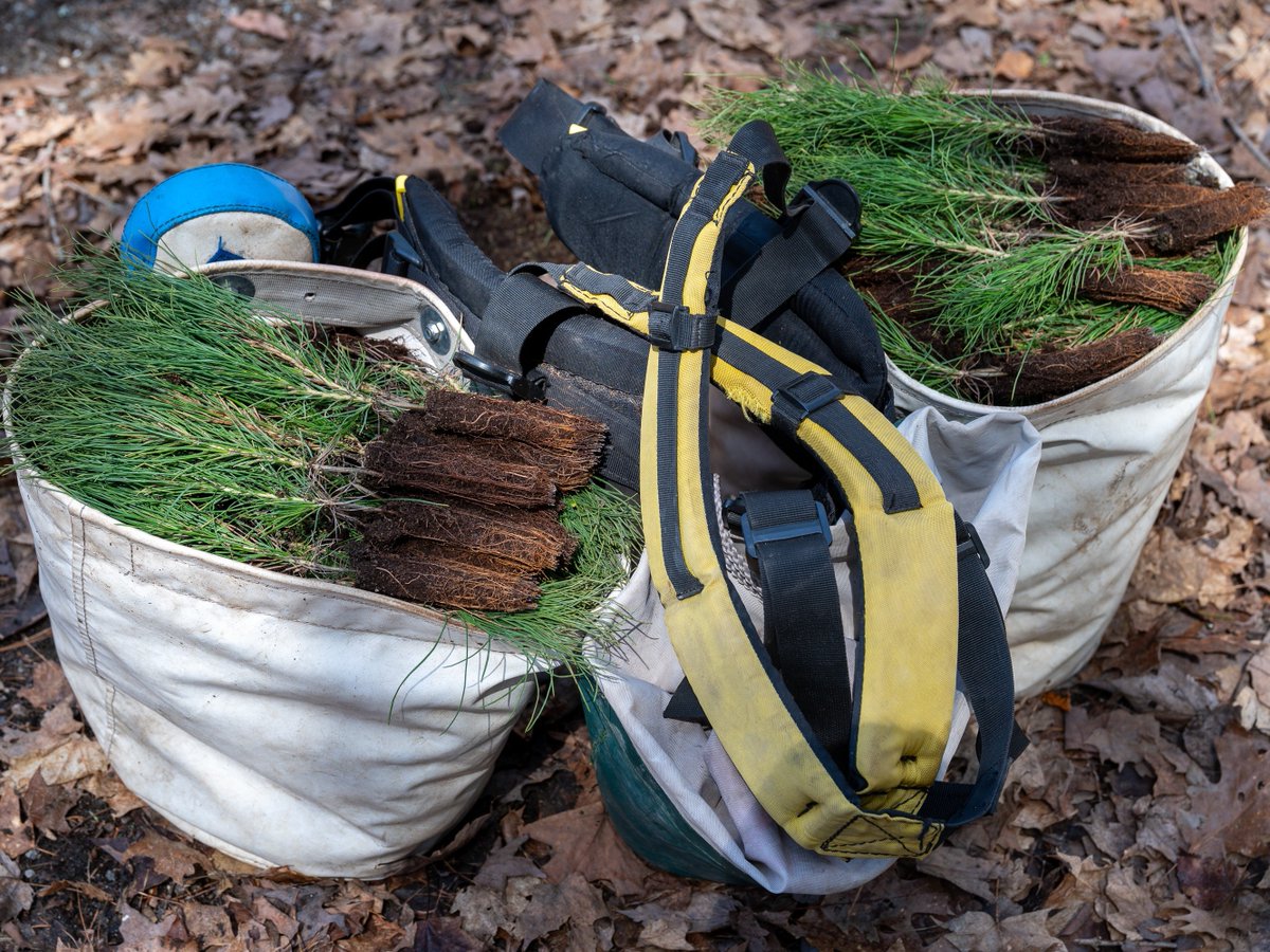 Since 2020, @bassproshops and @cabelas Outdoor Fund has supported Forests Canada’s restoration and education programs through generous contributions totaling $500,000. Their ongoing commitment to grow, conserve, and restore Canada’s forests has made them one of our most dedicated