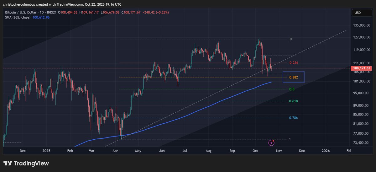 dave the wave🌊🌓 tweet media