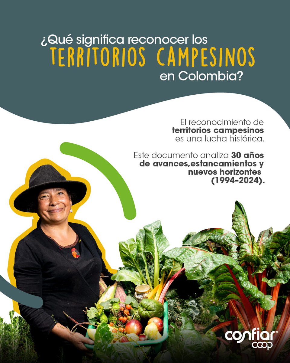¿Qué significa reconocer los territorios campesinos en Colombia? 🧑‍🌾🌾

Patricia Sánchez investigó al respecto y analizó la política pública de reconocimiento de territorios y territorialidades campesinas en Colombia desde 1994 hasta 2024. 

Algunos puntos clave 👇