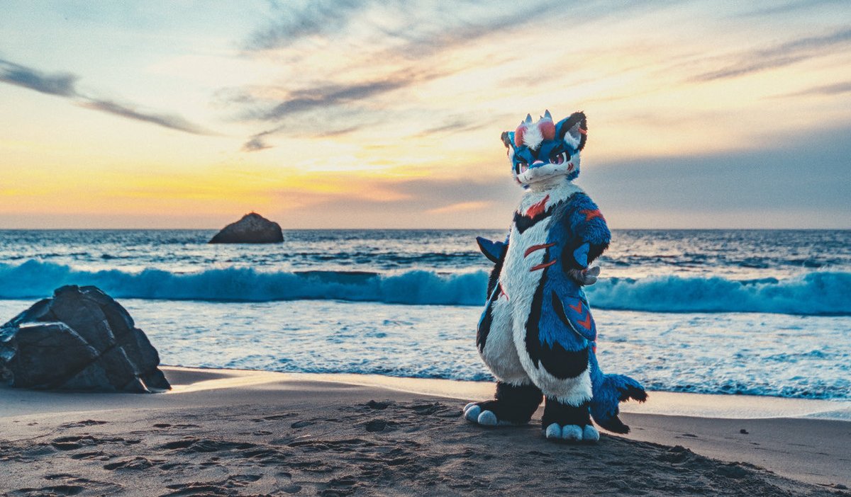 Natural habitat 🌊
📸:<a href="/ChatahSpots/">Ｍｉｇｏ💢🔜🇰🇷SK,🇹🇼Infurnity,🇯🇵Kemocon</a>
