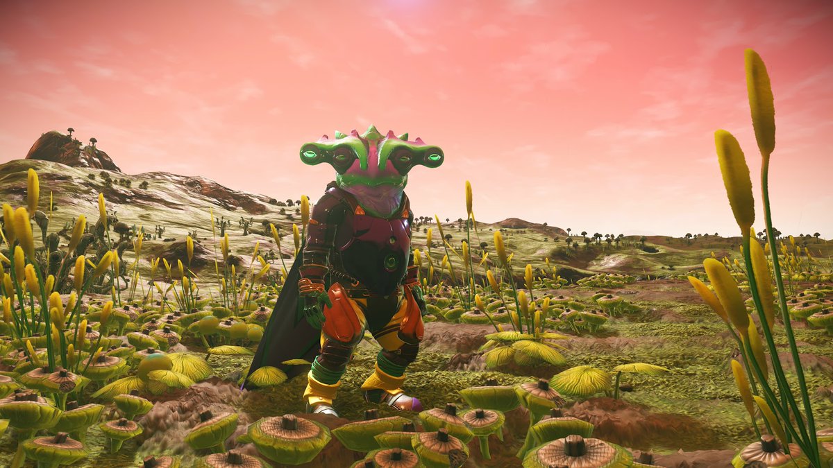 TheVortex794's tweet image. My character in No Man's Sky, at least while playing with a good friend of mine.