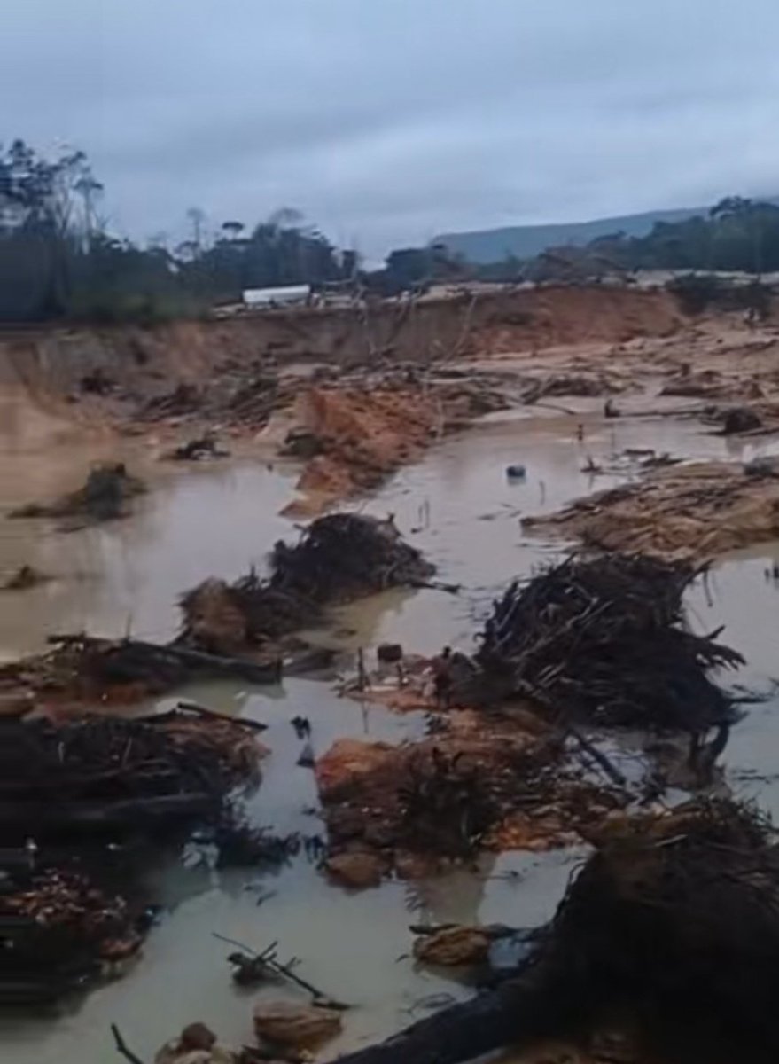 Fritz_A_Sanchez's tweet photo. #Atencion #Venezuela 

Reportan  intensificación de la actividad aurífera ilegal en las riberas del río Chiguao que, aunque pocos pudieran conocer, está región estuvo en el ranking mundial de pesca deportiva de Payara y Pavón ! 

Seguimos perdiendo ecorregiones, biodiversidad... https://t.co/HPGQAlnI1c