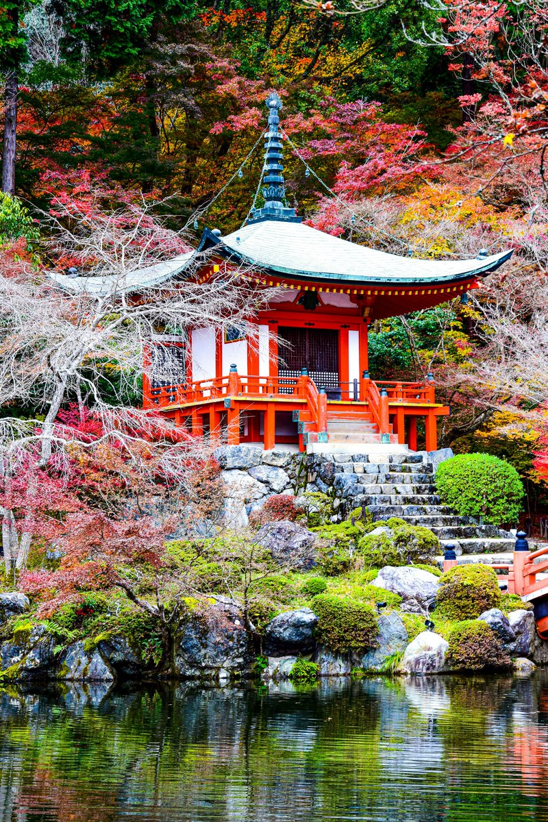 LuxDelux's tweet image. Colorfully serene

#serenity #vibrantcolors #nature #experience #experiencelife #lifeisluxury #experiencemoretogether