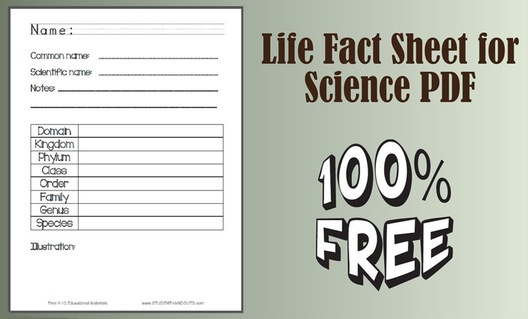 studenthandouts's tweet image. Life Fact Sheet for Science - Worksheet is free to print (PDF file)  for elementary Science students. #lowerelementary #science #freeprintable #taxonomy studenthandouts.com/science/lower-…